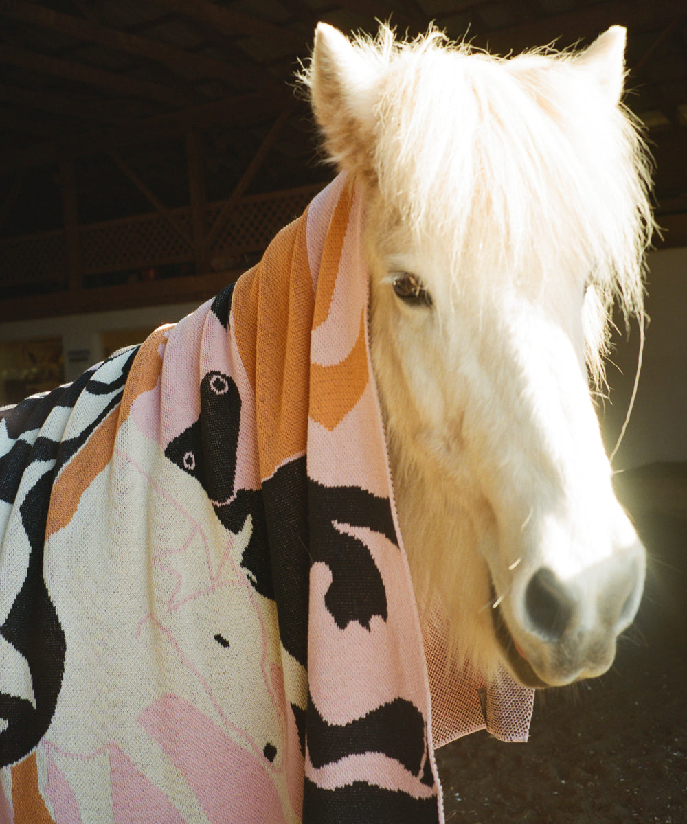 Fire Horse Blanket – Cold Picnic