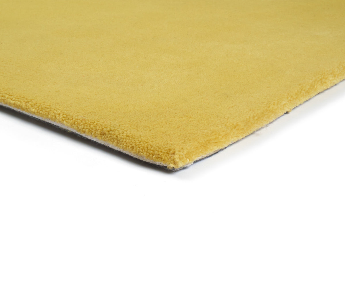 CUSTOM Corn Rug – Cold Picnic