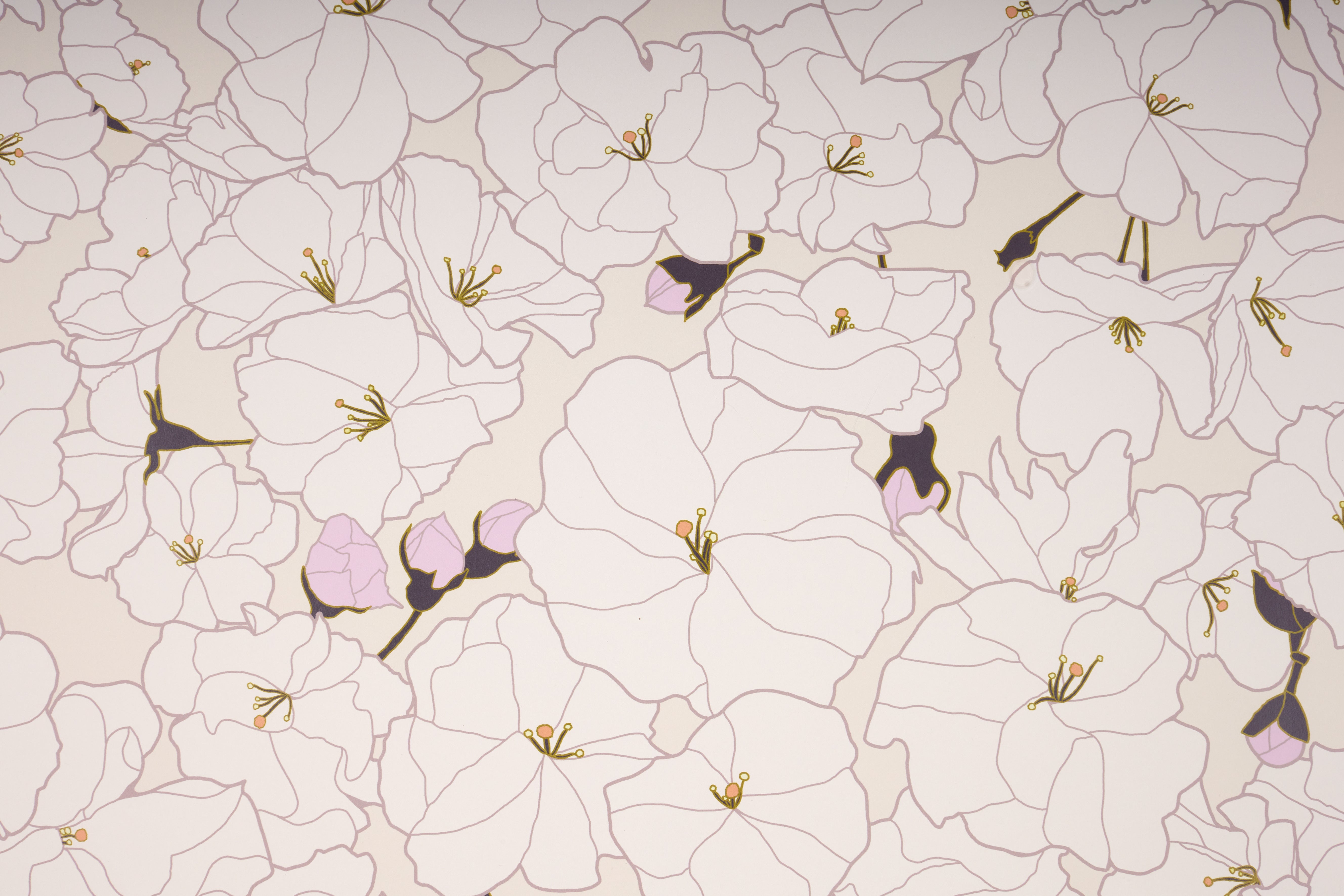 Cherry Blossom Wallpaper - 60"