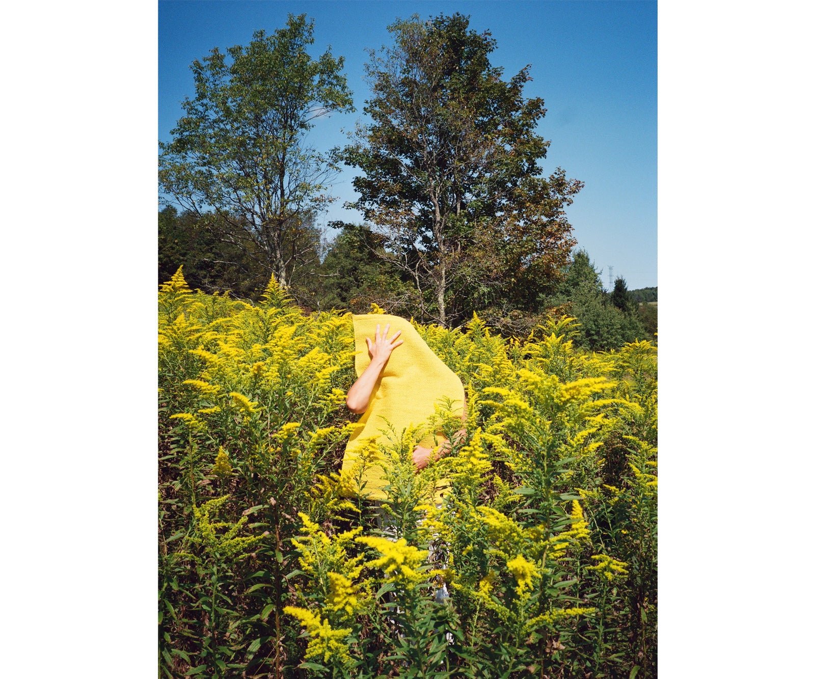 Goldenrod Cotton Rug
